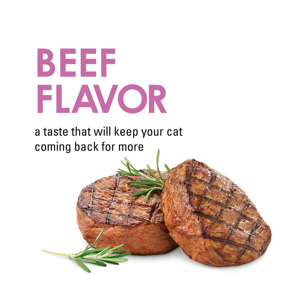 Purina Fancy Feast Morceaux cassables: portions faciles à partager pendant le jeu