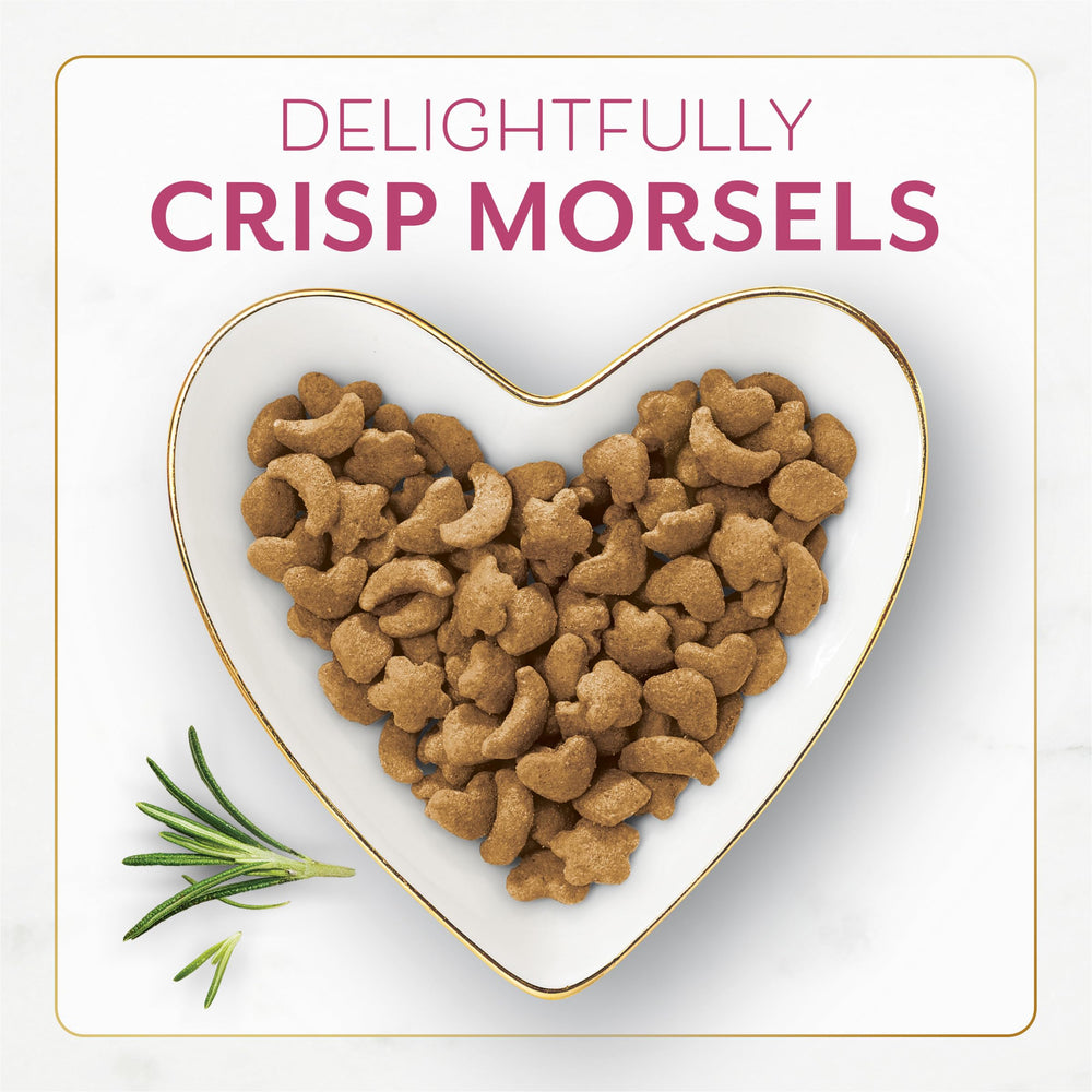 Gros plan sur des morceaux croustillants de Fancy Feast en croquettes.