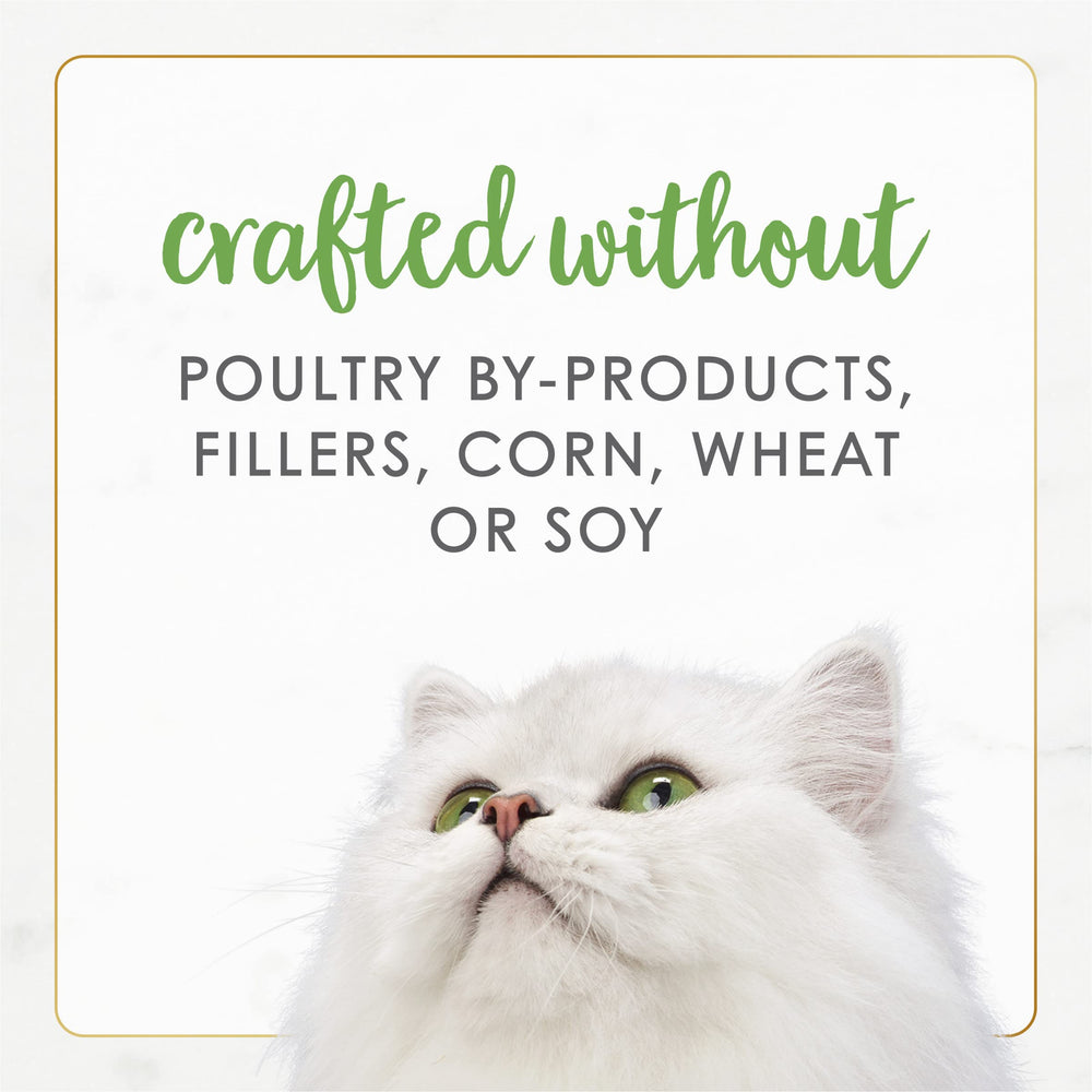Odeur appétissante de poulet, pâté Fancy Feast pour chats.