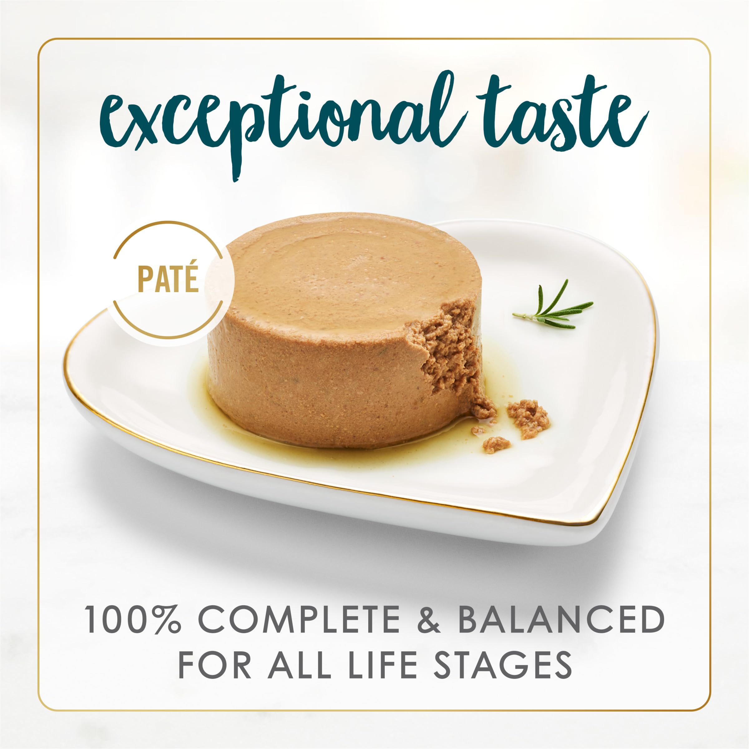 Pâté Fancy Feast Saumon-Crevettes, texture soyeuse idéale pour une dégustation facile.