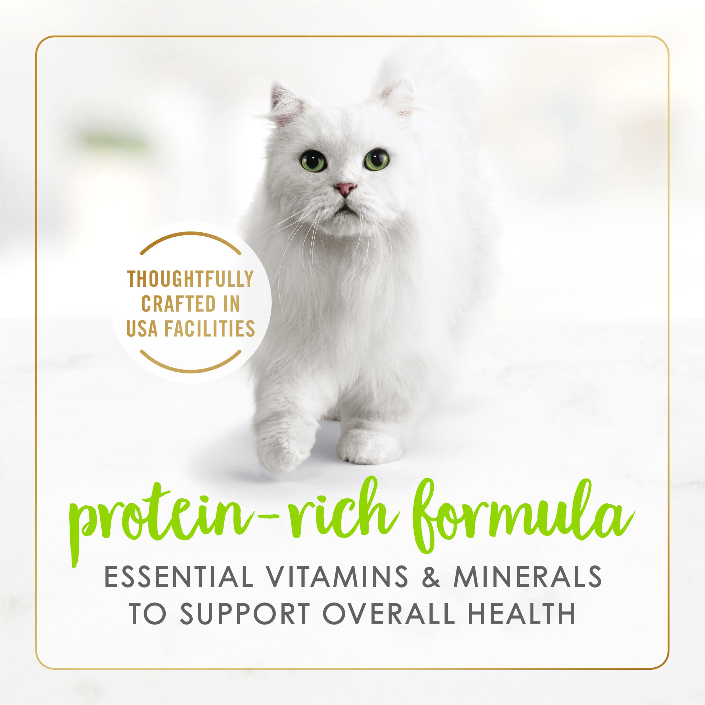 Fancy Feast Saumon en conserve — format pratique pour adultes.