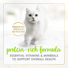 Fancy Feast Saumon en conserve — format pratique pour adultes.
