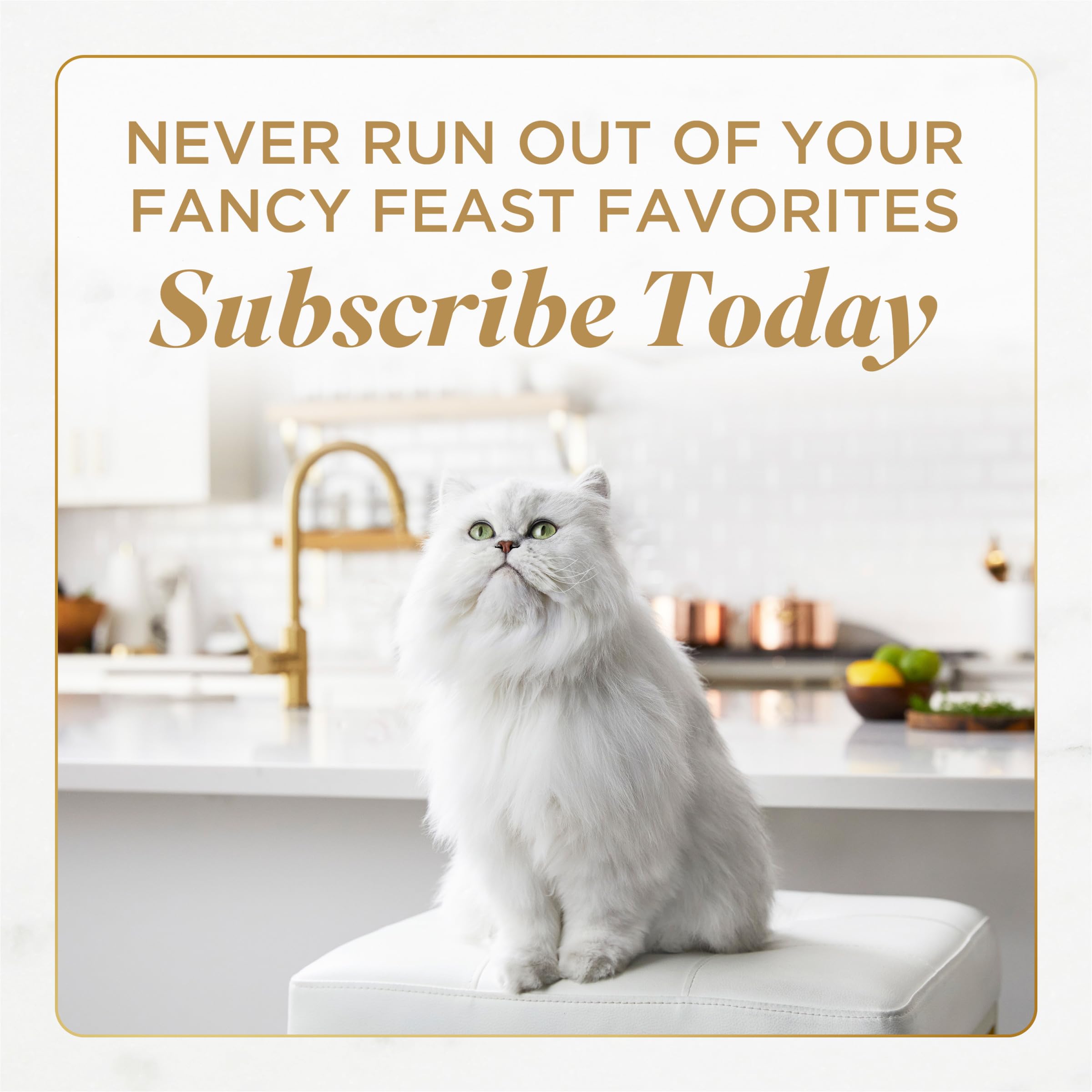 Savory Centers boeuf pâté, repas complet pour chats adultes, pratique et savoureux.