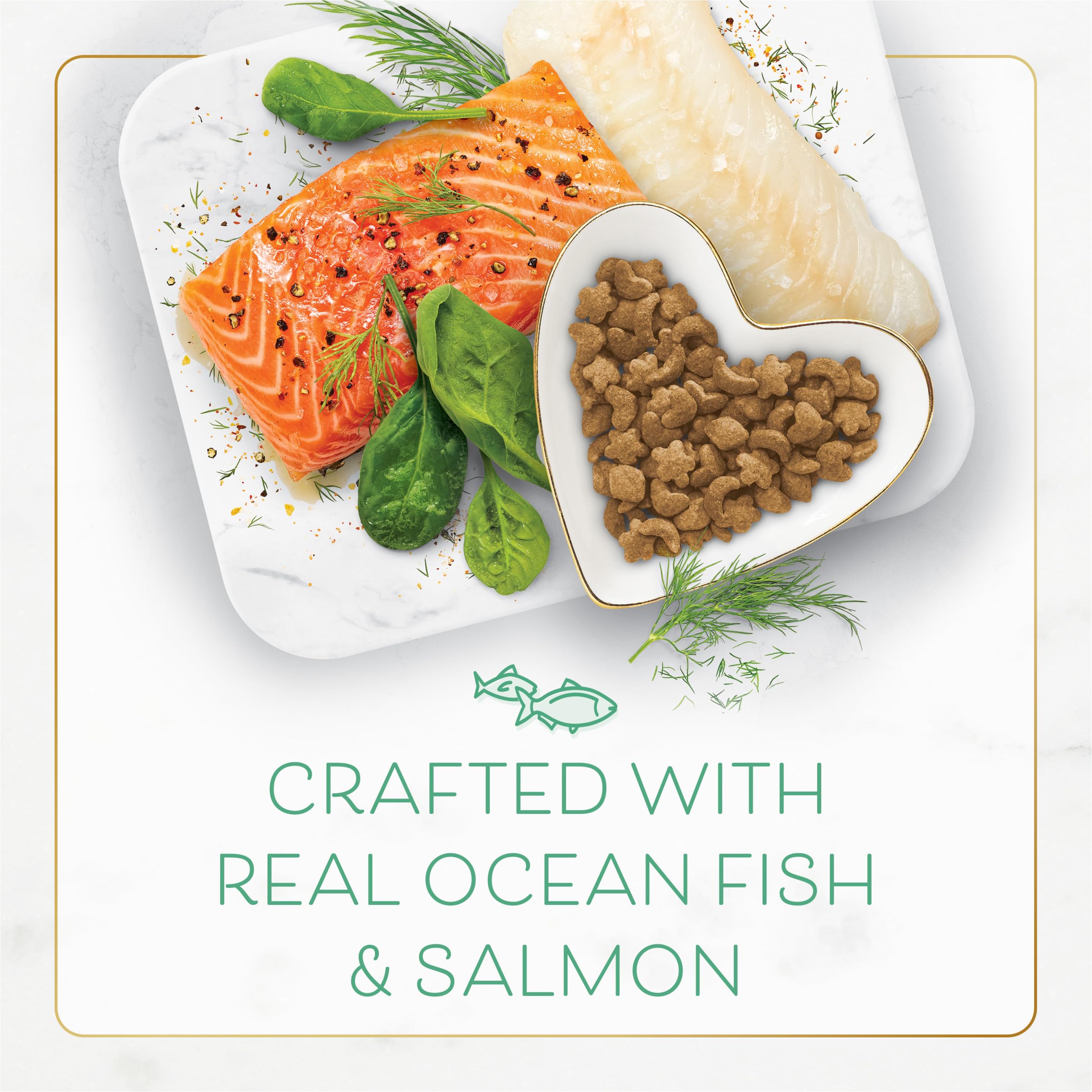Fancy Feast portion dans bol, repas convivial et pratique.