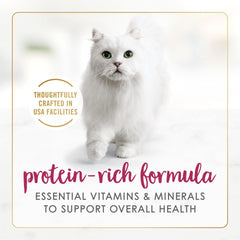 Texture crèmeuse du pâté Fancy Feast Senior