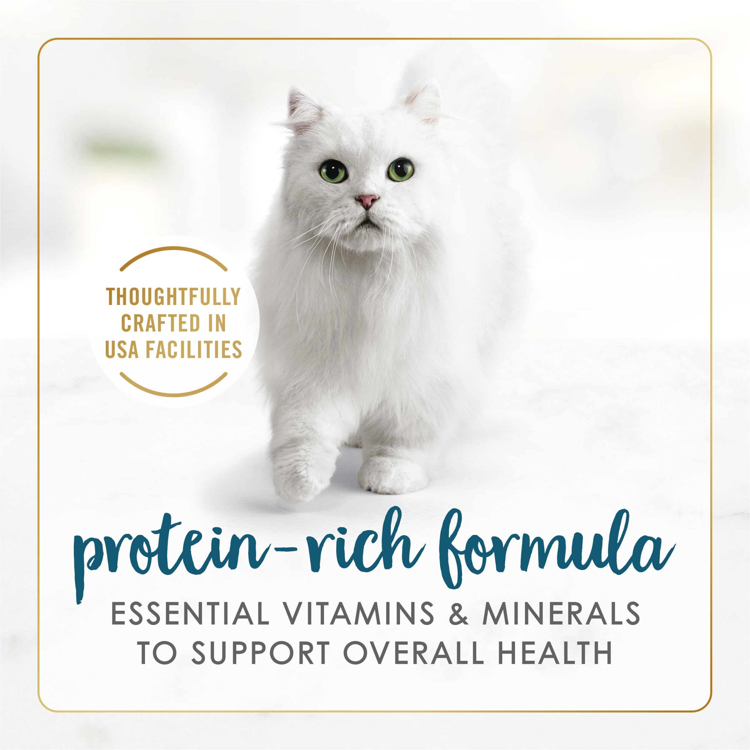 Fancy Feast Senior: thon en sauce mince dans une assiette appétissante pour repas quotidiens.