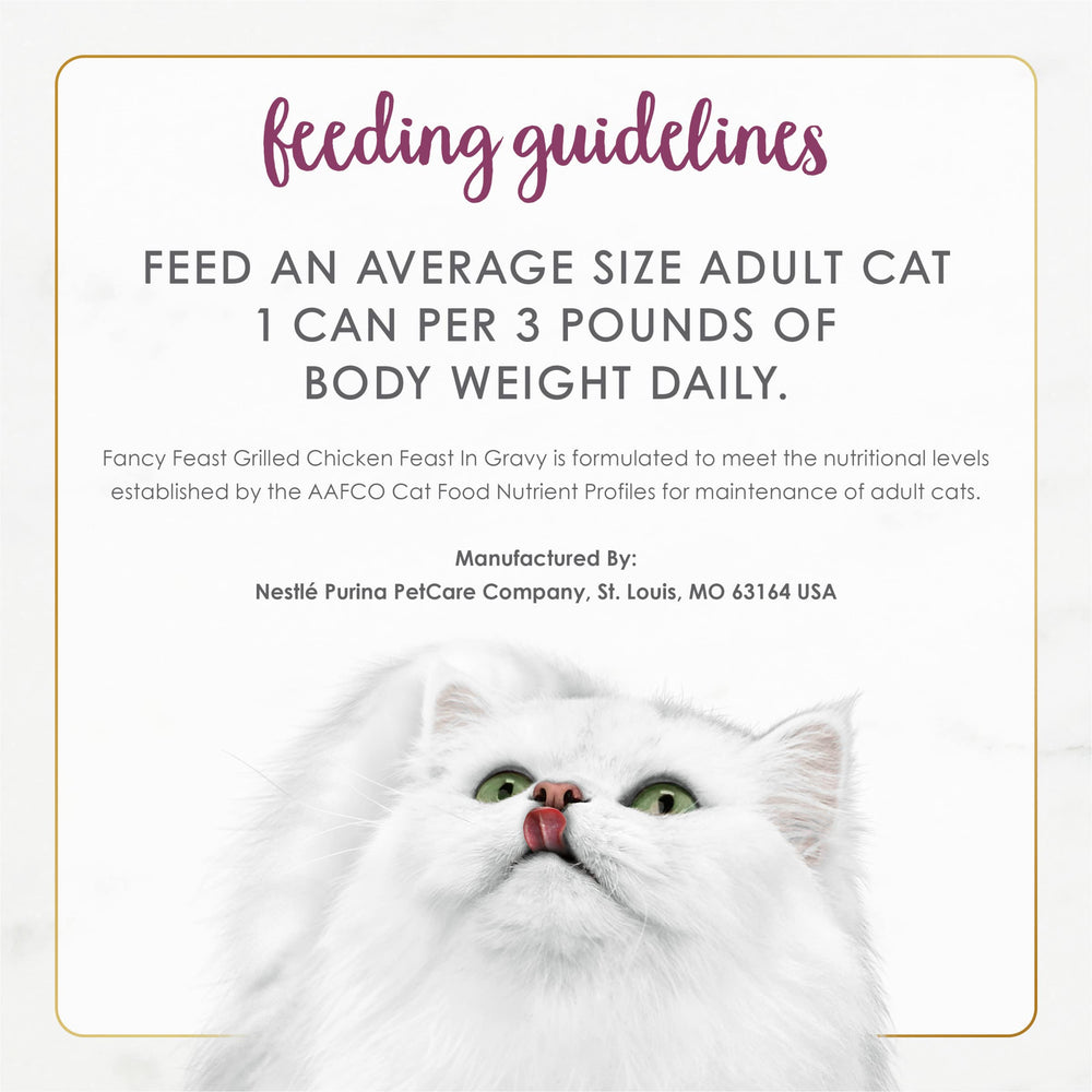Servir Fancy Feast dans un bol, simplicité et rapidité.