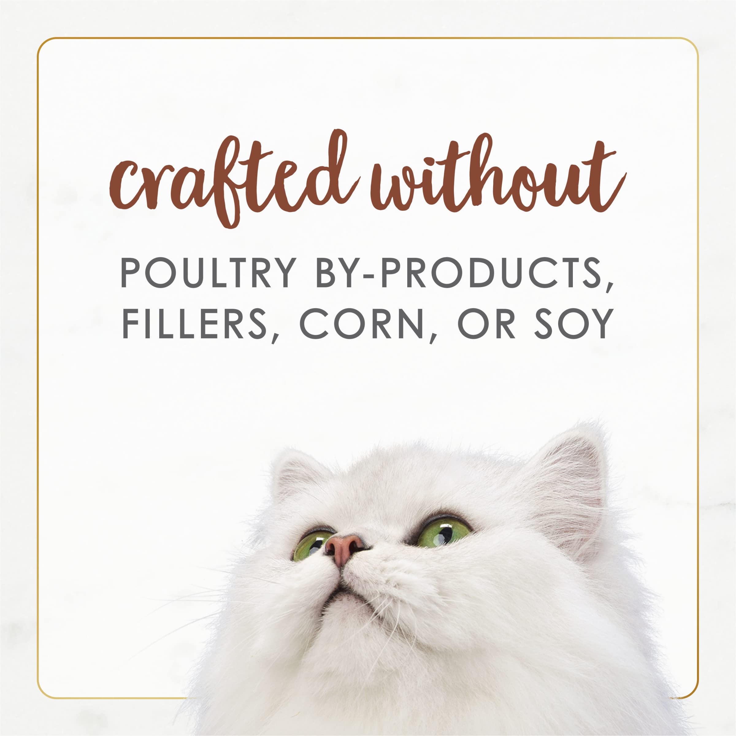 Texture douce et sauce savoureuse qui ravit les papilles des chats.