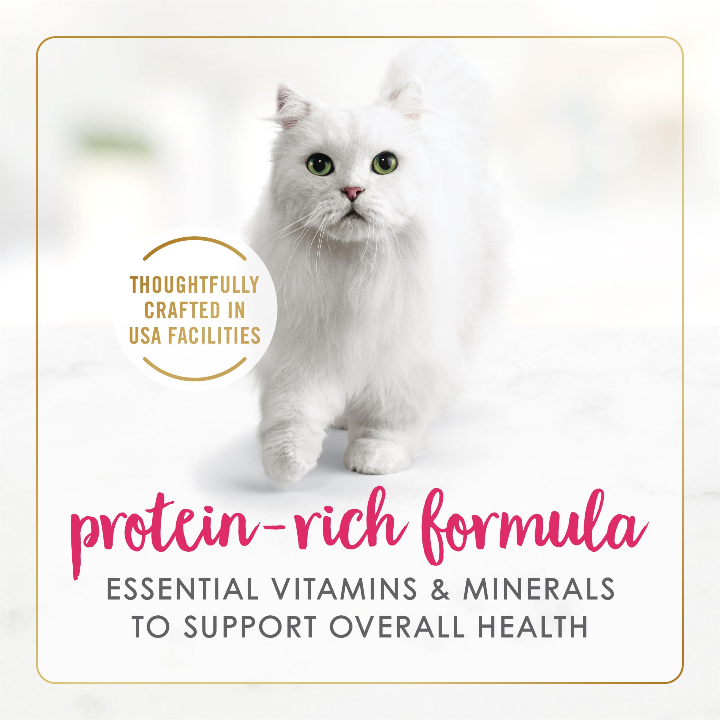 Fancy Feast repas humide 85 g, poulet tendre pour chats exigeants.
