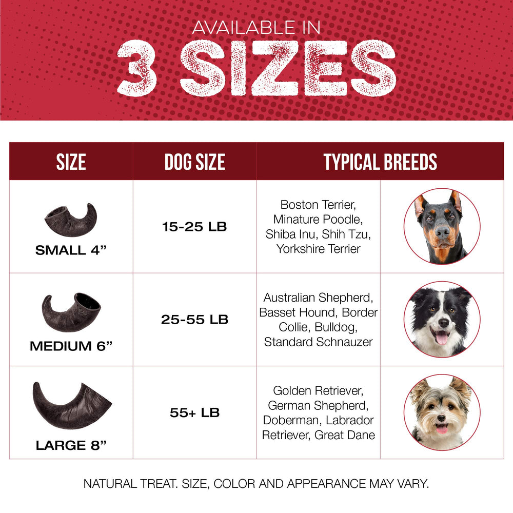 Fang et Griffe – corne-buffle-chien-macher sans additifs et contrôlé.