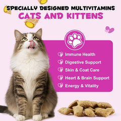 FANGCUN: chat interieur profite d un apport nutritionnel equilibre a domicile.