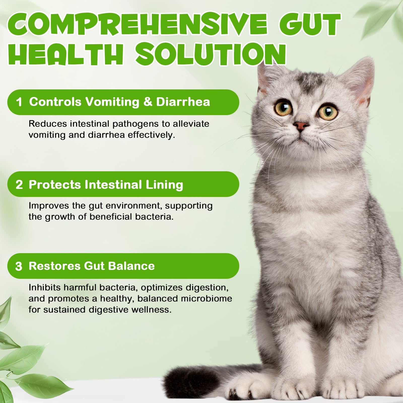 FANGCUN Flore intestinale équilibrée pour chats sensibles.