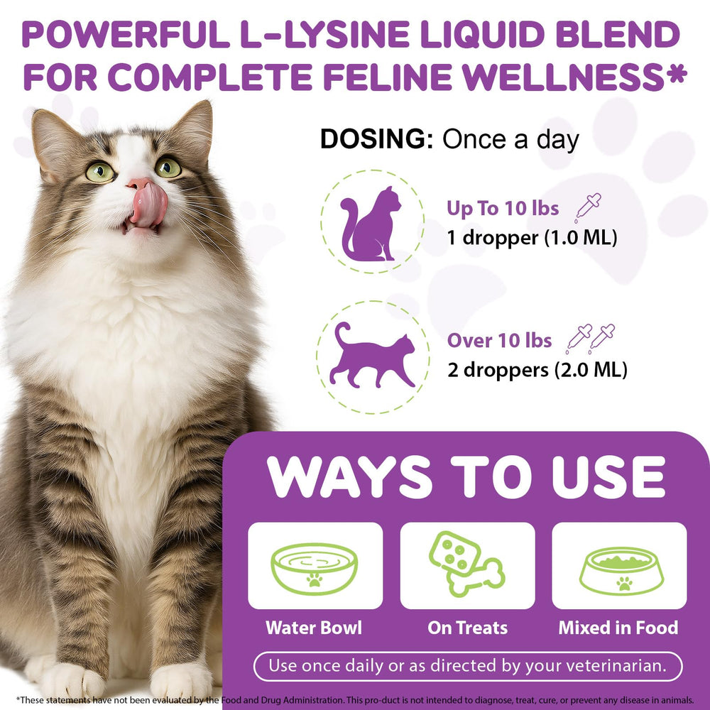 FANGCUN L-Lysine : dose quotidienne simple à ajouter dans l'alimentation.
