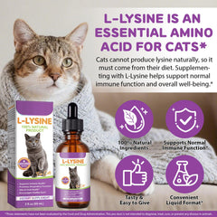 FANGCUN L-Lysine : pelage brillant et peau saine pour votre chat.