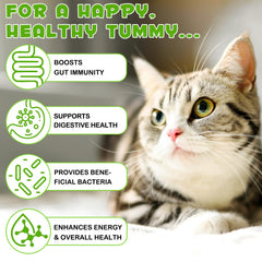 FANGCUN Prébiotiques pour chats — flacon pratique favorisant l'équilibre intestinal.