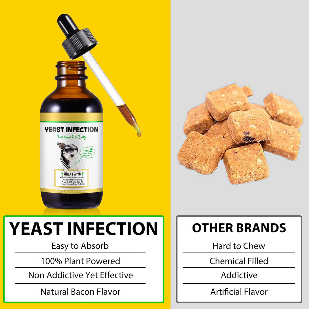 Goût bacon FANGCUN – formulation naturelle appréciée par les chiens.