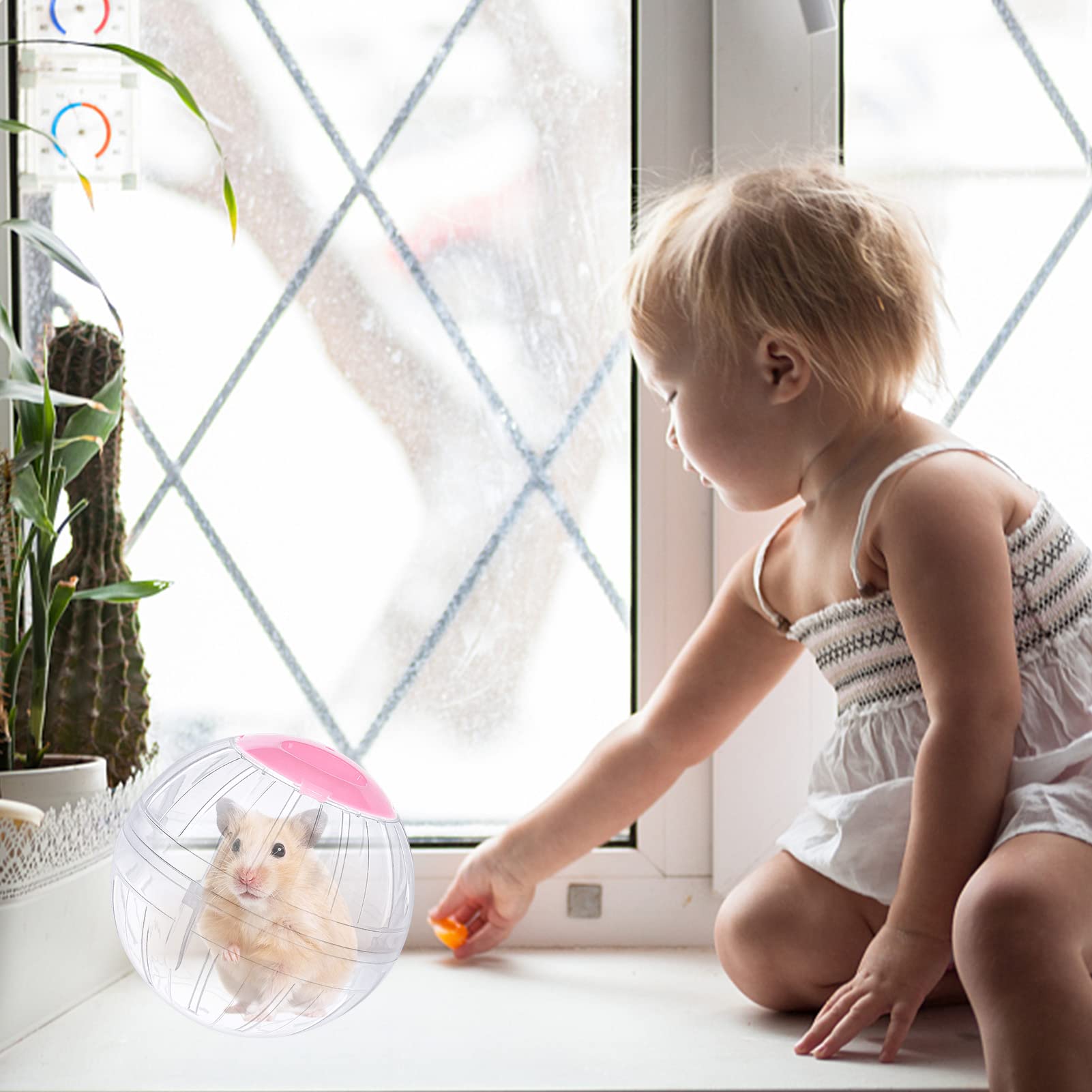 Balle hamster transparente FANKUTOYS pour observer les mouvements en douceur.
