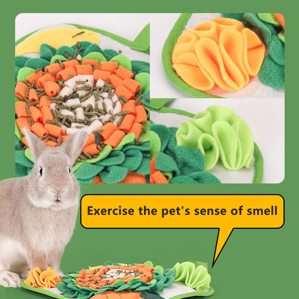 Fanlahmtasy Tapis-utilisation-rongeurs-30cm: idéal pour lapins et petits animaux.