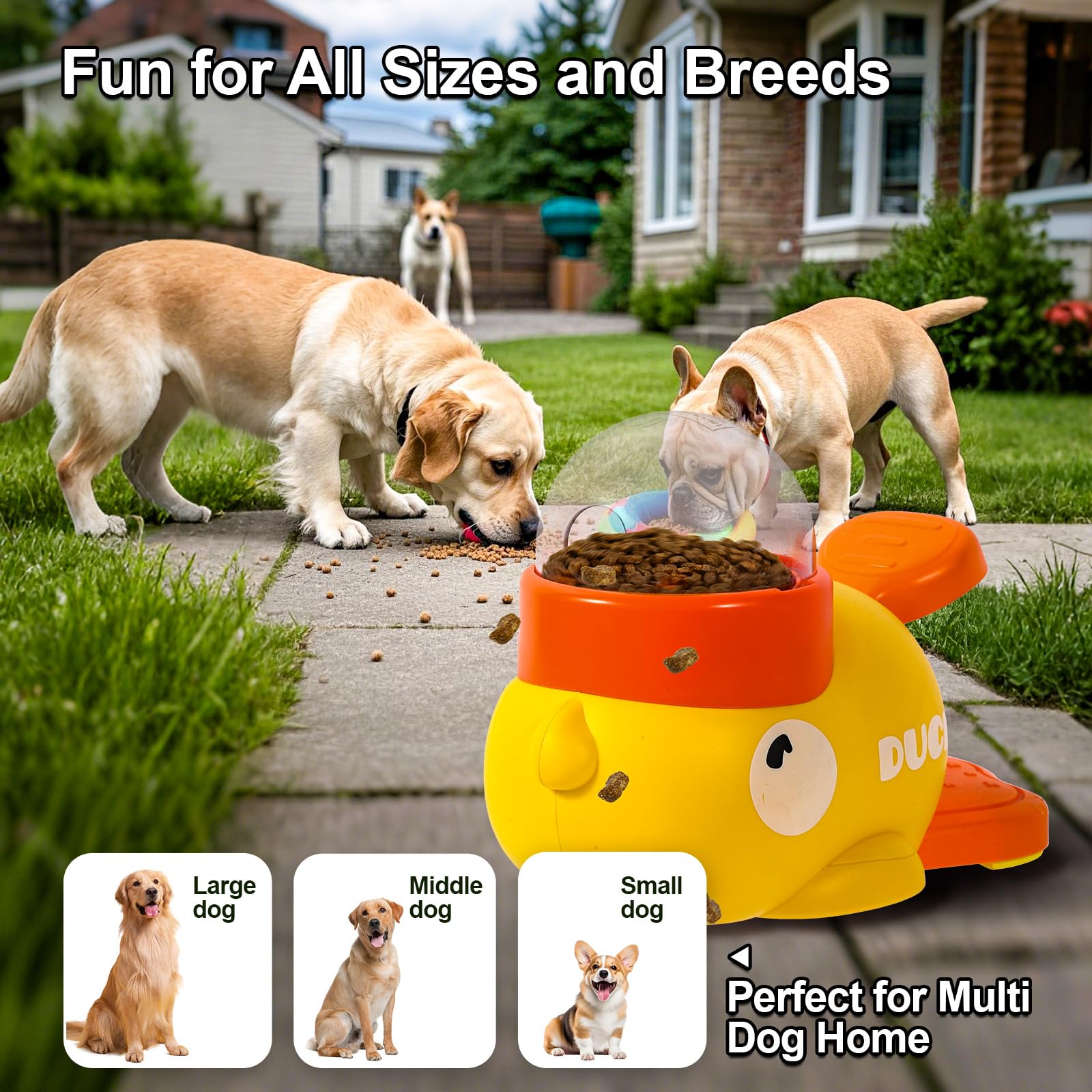 Puzzle alimentaire Fanosy, idéal pour petits et moyens chiens et chats.