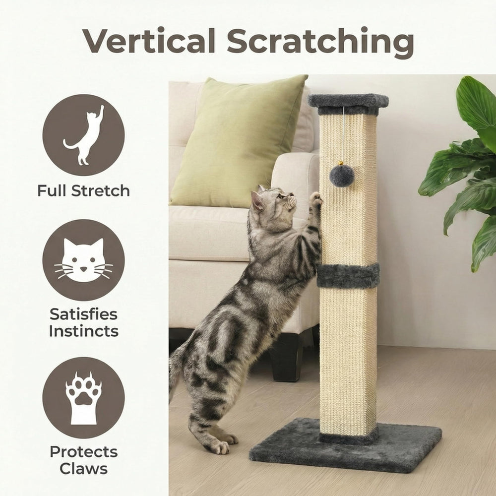 FansaFurn balle pendante, divertissement en hauteur pour chats curieux.