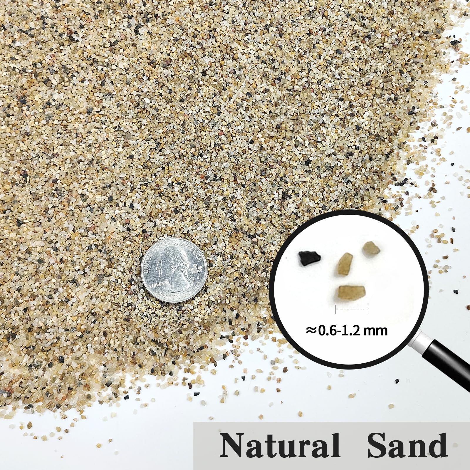 Sable FANTIAN pour bac Betta, fond naturel et esthétique.