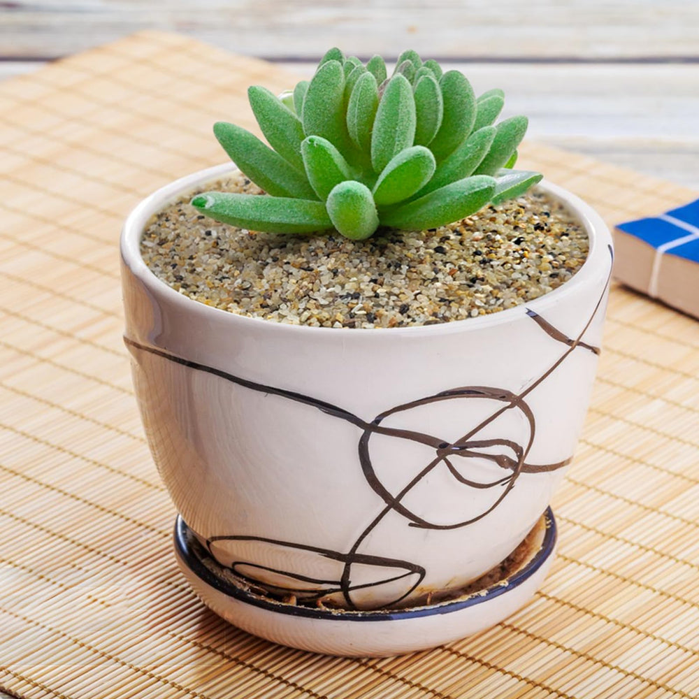 Idéal pour jardin zen et diy décoratif.