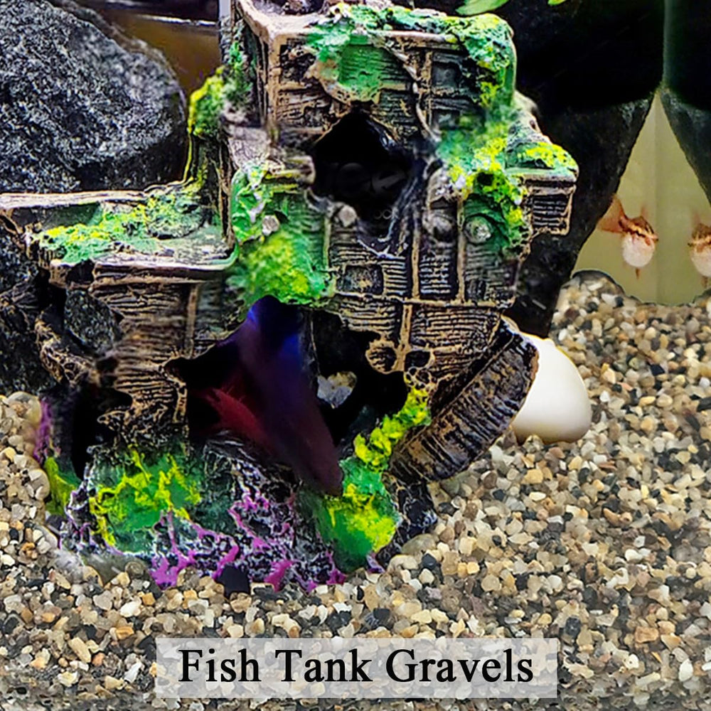 FANTIAN substrat pour plantes en pot et terrarium