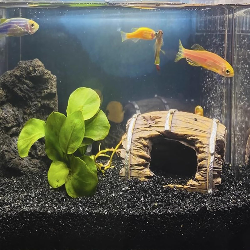 Substrat noir FANTIAN 5 lbs, parfait pour sol d’aquarium et reptiles