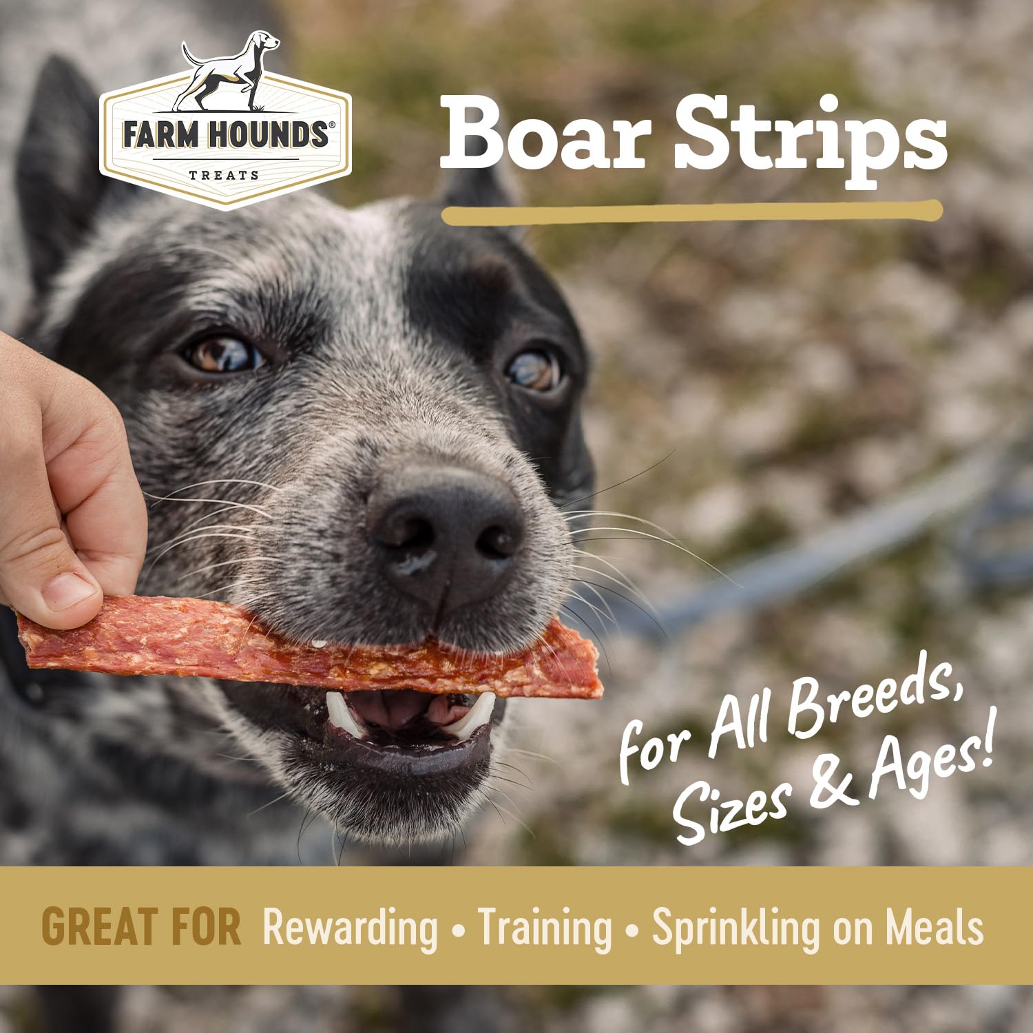 Farm Hounds Boars Strips - emballage usine, fabrication aux États-Unis et qualité fiable.