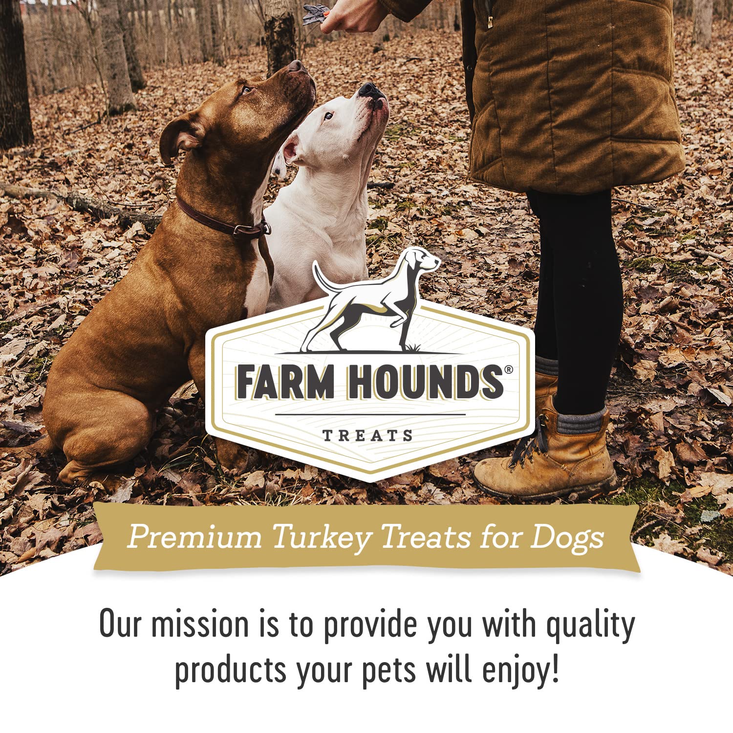 Farm Hounds Dinde Trainers - Sans additifs, idéale pour chiens sensibles.