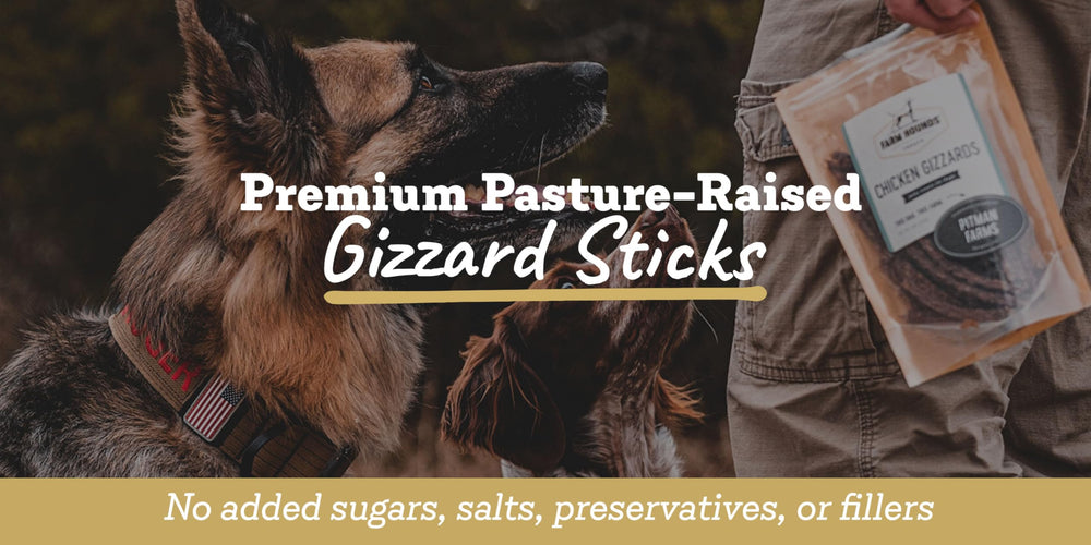 Farm Hounds gesiers-de-canard-seches, friandise protéinée pour chiens actifs.