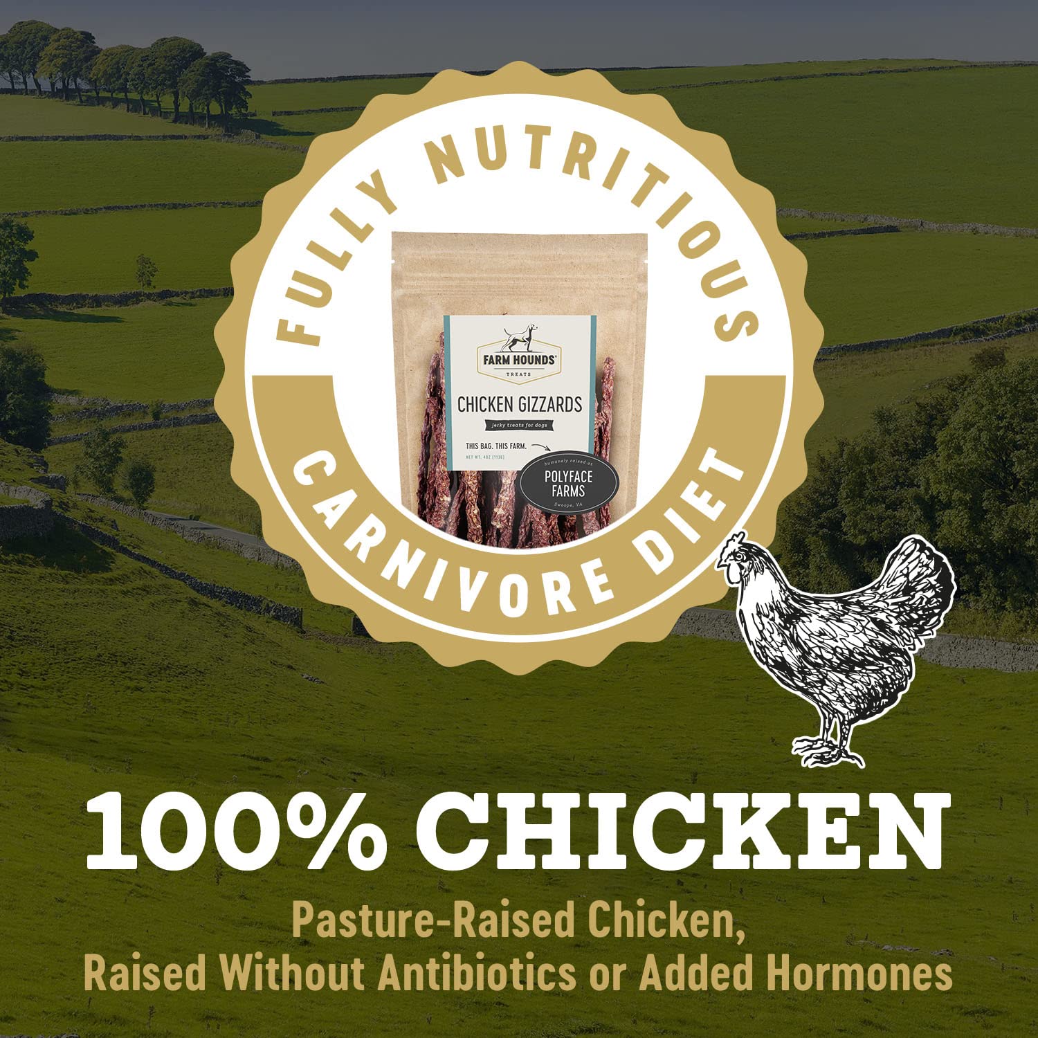 En-cas naturel Farm Hounds gésiers de poulet pour chiens gourmands et actifs.
