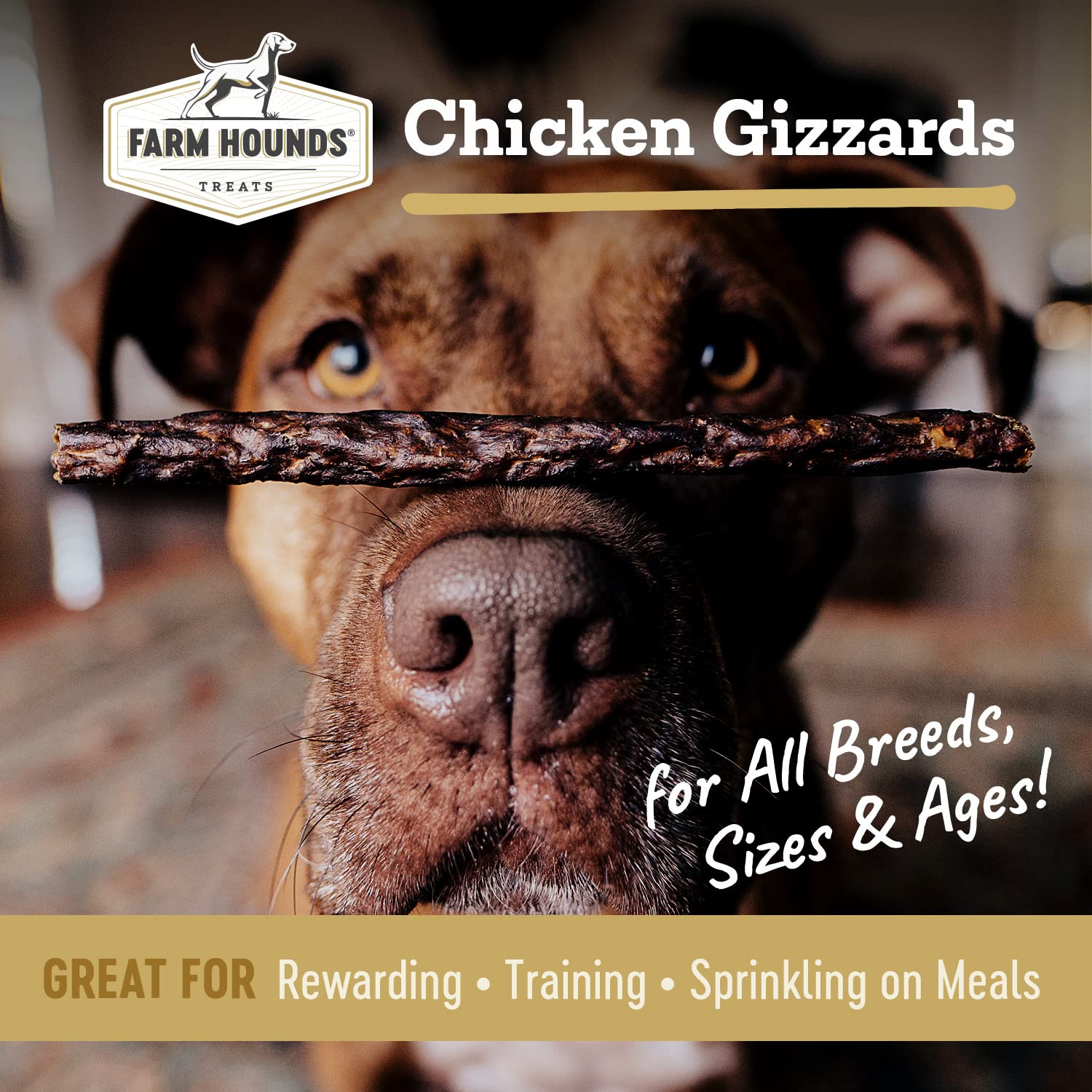 Friandise Farm Hounds gésiers de poulet pour entraînement et récompense.
