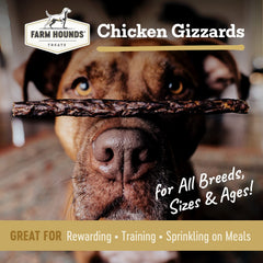 Friandise Farm Hounds gésiers de poulet pour entraînement et récompense.