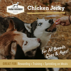 Farm Hounds Poulet Jerky – idéal pour l'entraînement et les récompenses quotidiennes
