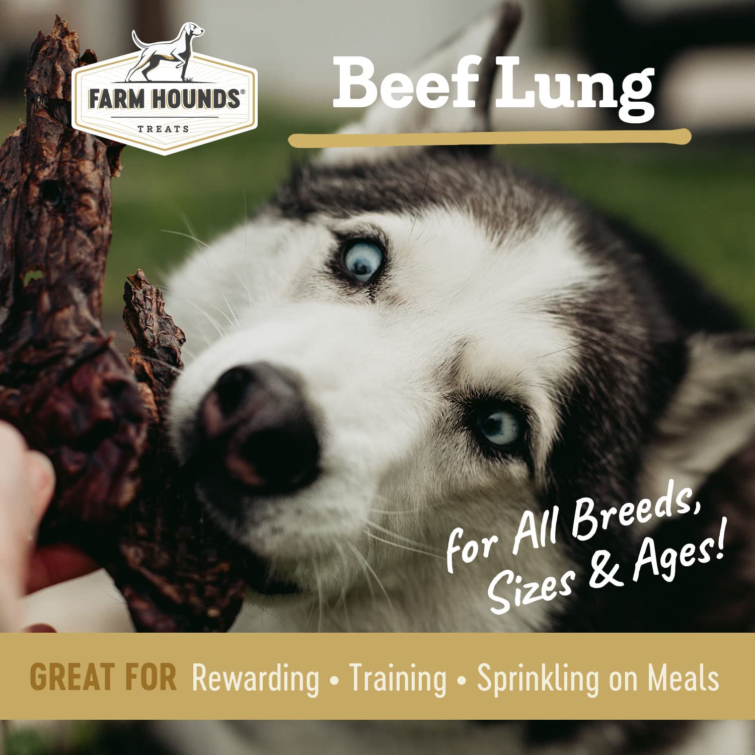 Tranche fine de poumon de boeuf séché pour chien.