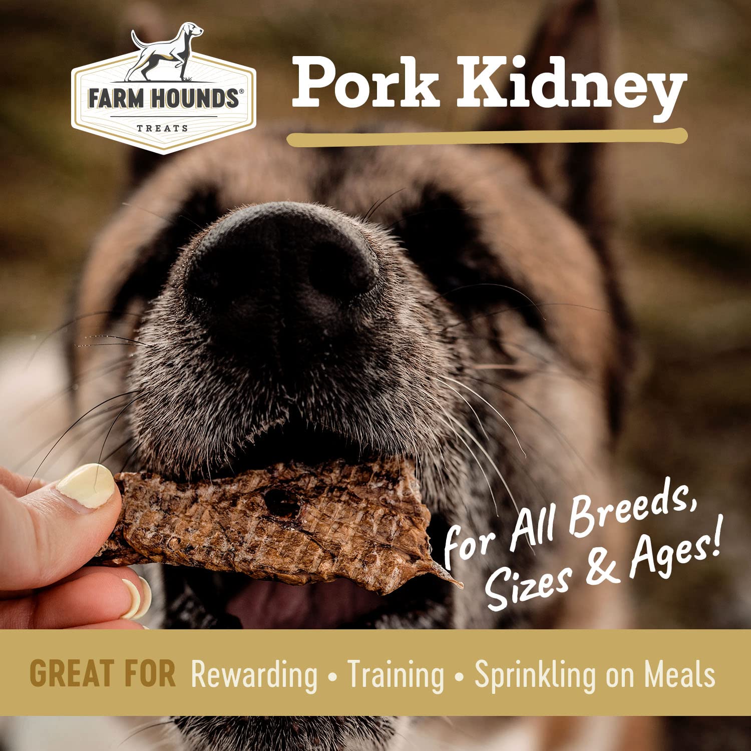Sachet Farm Hounds 4oz rognons de porc, récompense pratique.