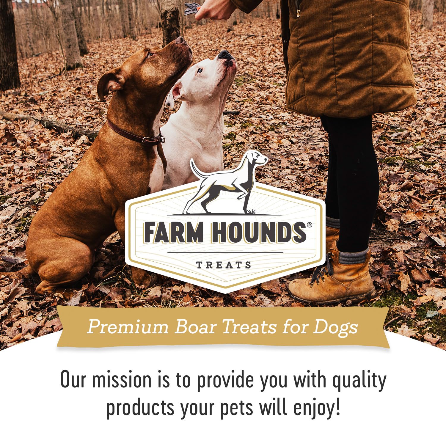 Farm Hounds sanglier-trainers: friandises savoureuses et naturelles pour chiens
