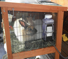 HRB-20 Farm Innovators: thermostat-auto, régulation précise pour animaux.