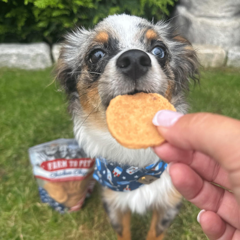 Farm To Pet Chips petits morceaux, parfaits pour l'entraînement.