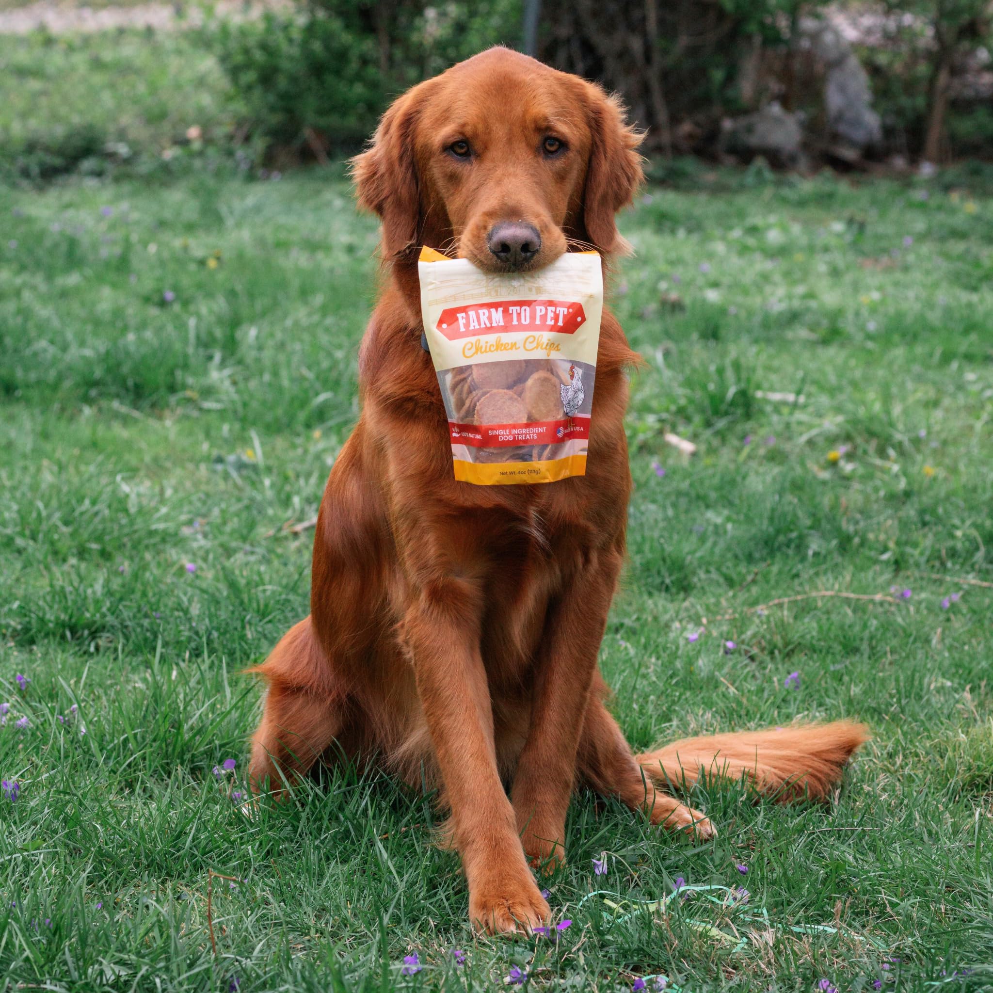 Farm To Pet - adaptés à toutes tailles de chiens et chiots.