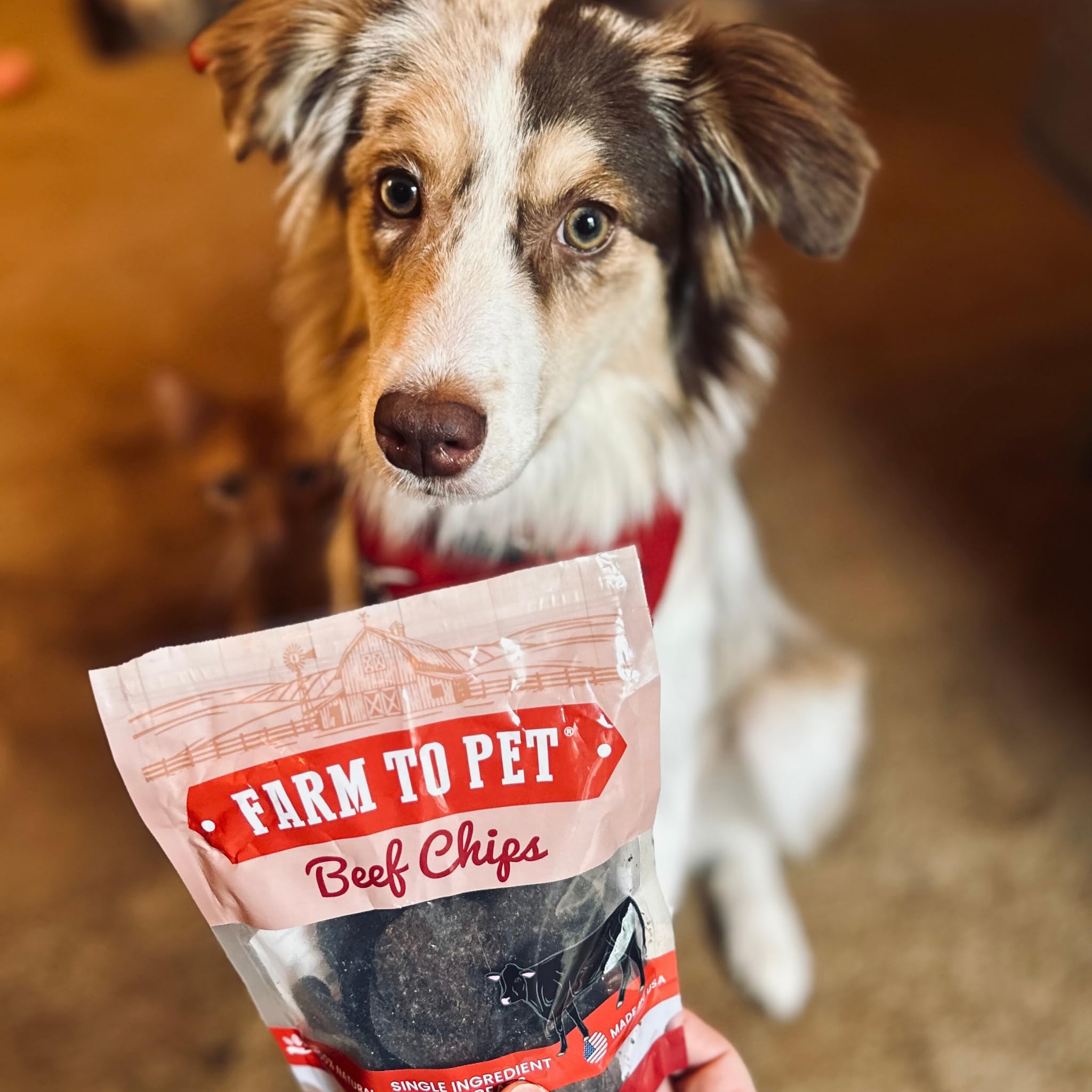 Farm To Pet - fabrique aux Etats-Unis avec boeuf de qualite humaine