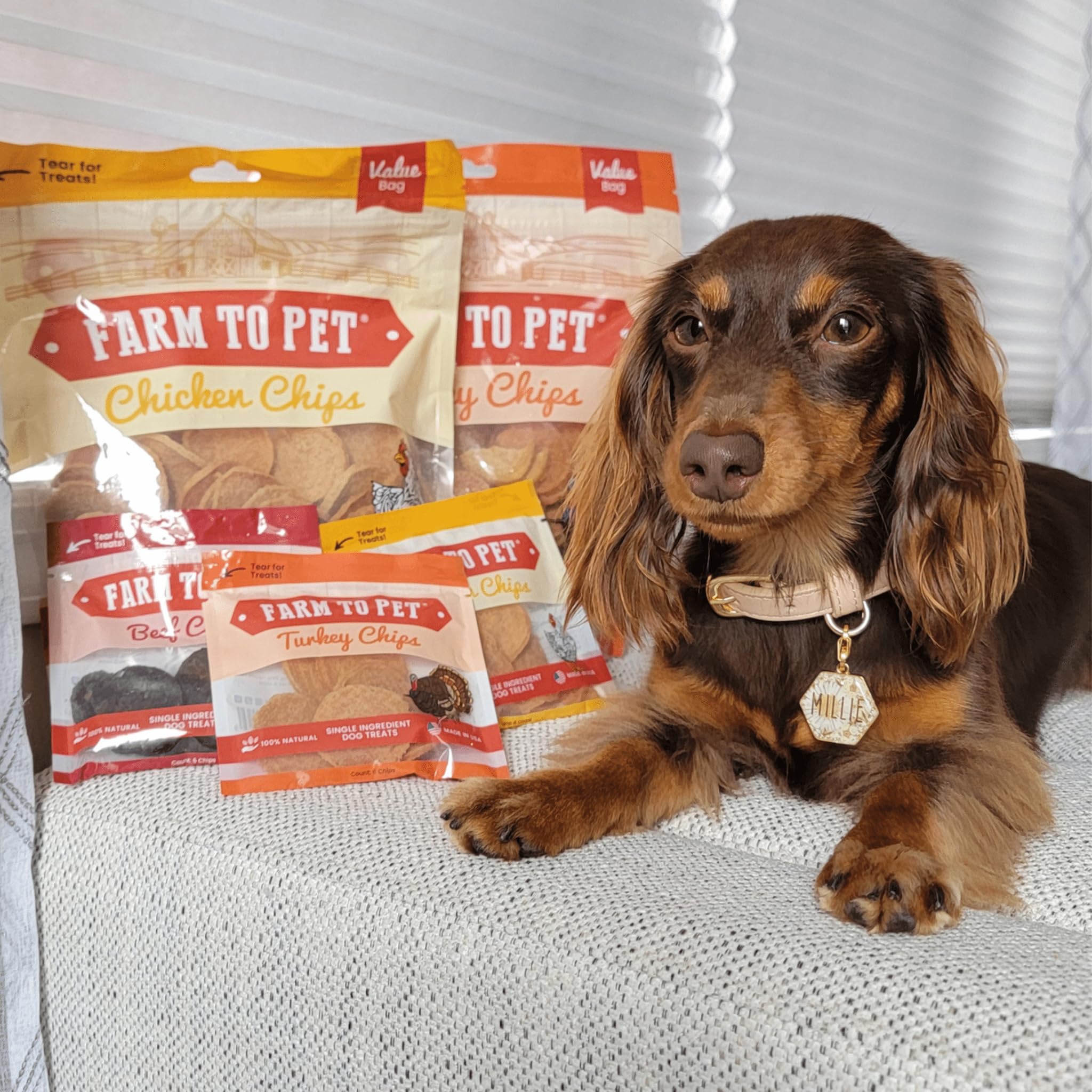 Farm To Pet récompense saine, petit format parfait pour les entraînements en déplacement.