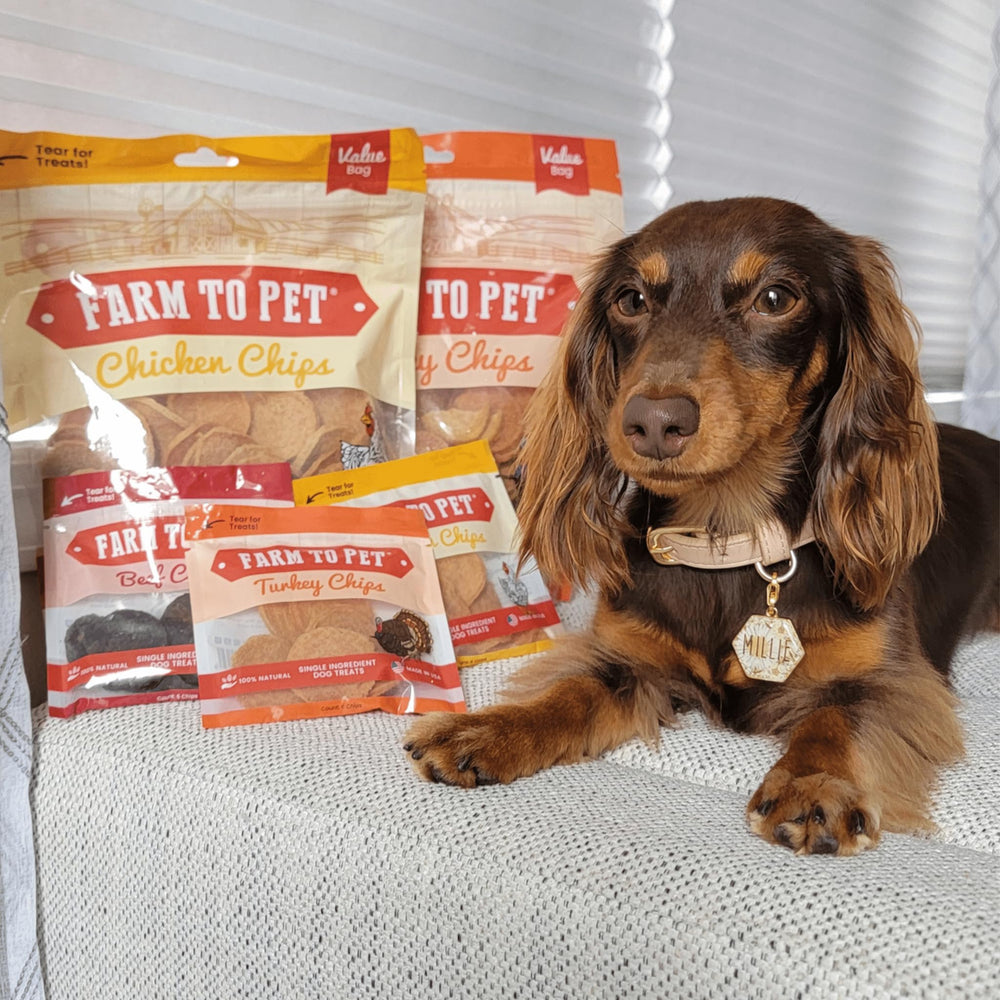 Farm To Pet récompense saine, petit format parfait pour les entraînements en déplacement.