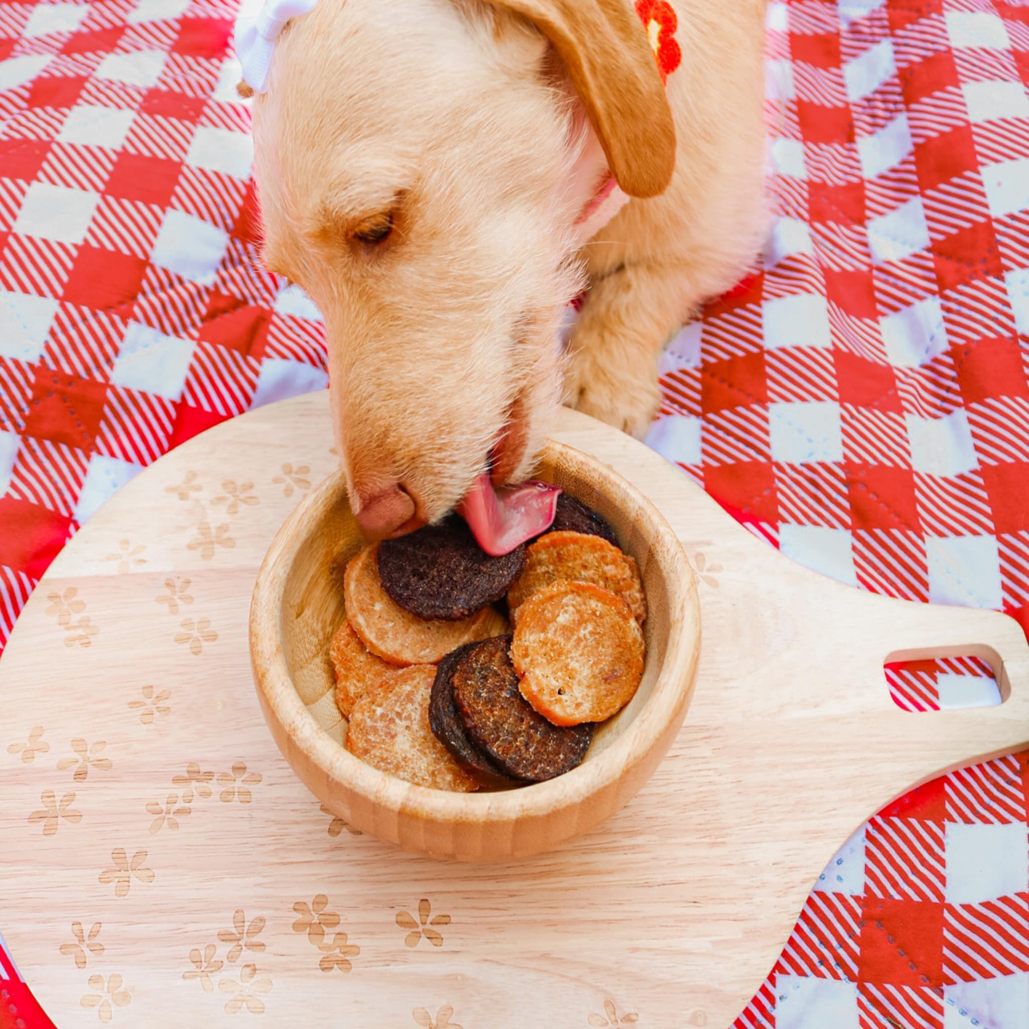 Assortiment Farm To Pet 24 saveurs, tester les préférences de votre chien facilement.