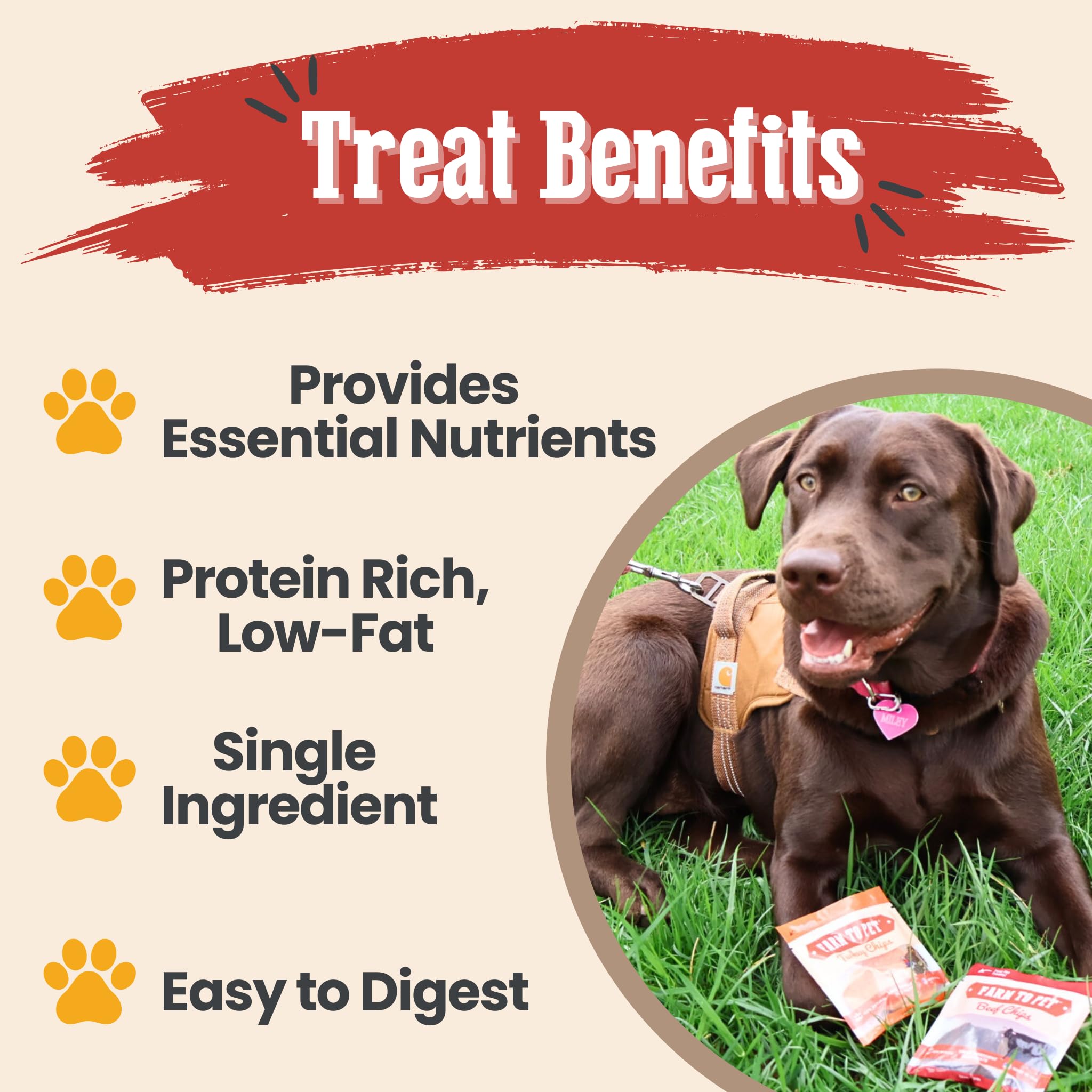 Farm To Pet friandises au poisson, option hypoallergénique pour chiens sensibles.