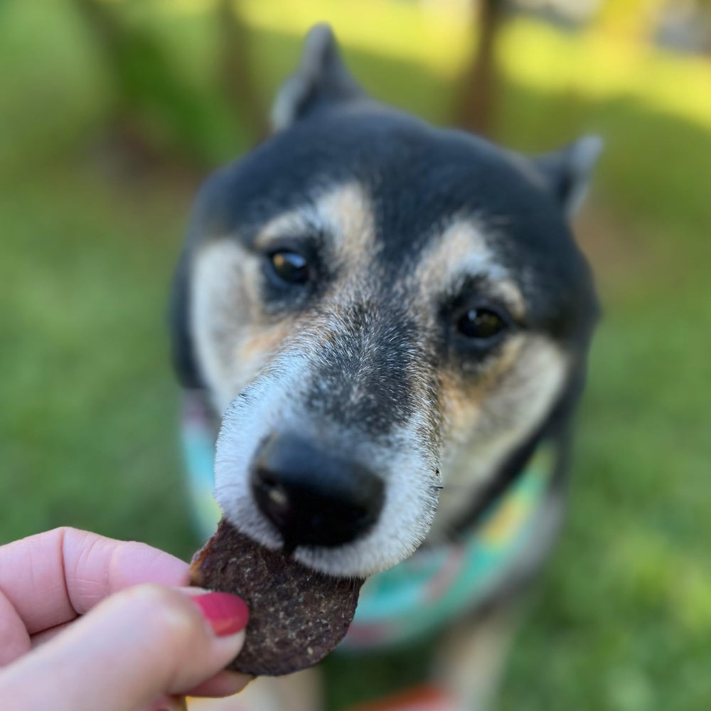 Farm To Pet - friandises pour tous tailles de chiens, polyvalentes