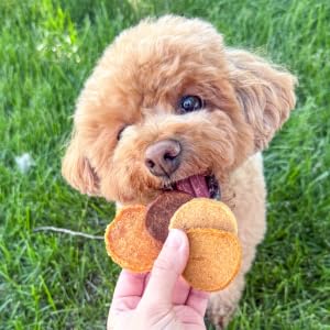 Farm To Pet pack variété — assortiment unique pour tester plusieurs saveurs chez le chien.