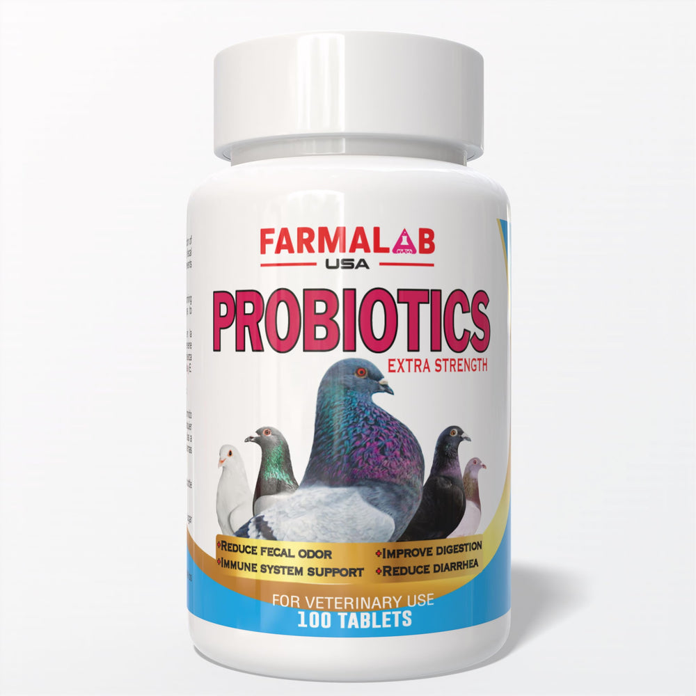 Generic probiotiques pour pigeons: tablettes faciles à utiliser améliorant l’absorption des nutriments