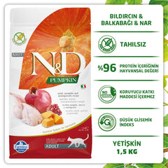 Chat adulte dégustant les croquettes Farmina N&D, repas équilibré et satisfaisant.